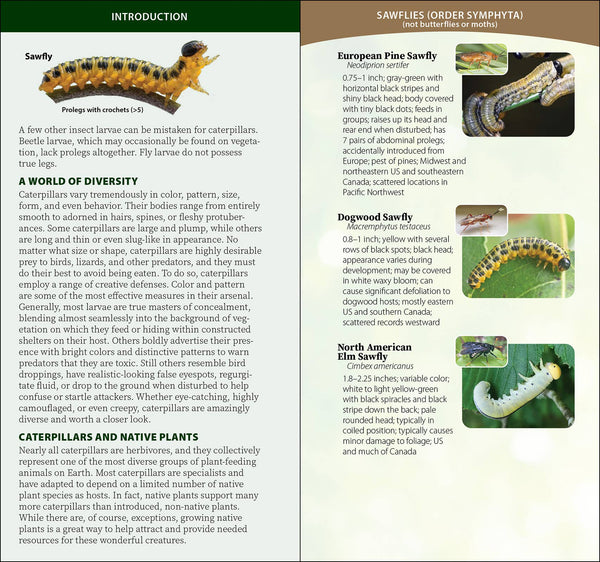Caterpillars of North America Quick Guide